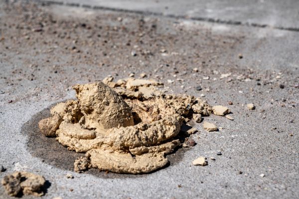 Cost of Driveway Slab Leveling in Westerville